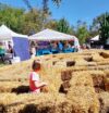 a portrait of a child wearing a pink shirt in a gold haybale maze