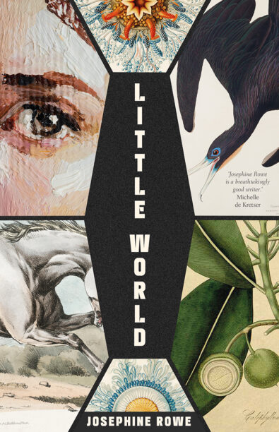 Cover of Little World by Josephine Rowe.